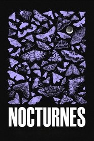 Nocturnes (2024)