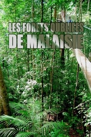 Poster Les forêts oubliées de Malaisie