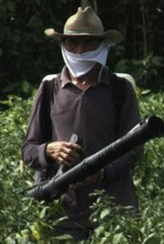 Ligeramente tóxico