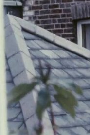 Poster Focus I 1977