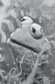 Visual Thinking (1961)