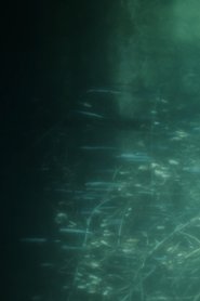 مشاهدة فيلم Notes of Forms 2021 مترجم بجودة عالية