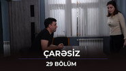 Episode 29