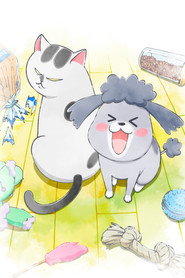 With a Dog AND a Cat, Every Day is Fun