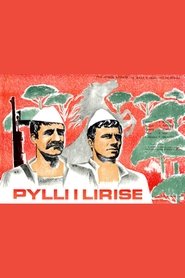 Poster Pylli i lirisë