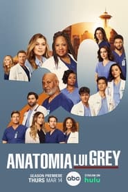 Anatomia lui Grey