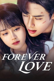 Forever Love poster