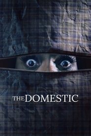 Poster The Domestic