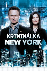 Krimin&aacute;lka New York (2004)