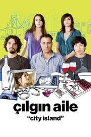Çılgın Aile (2009)