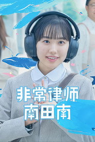 非常律师南田南 第 1 季 海报