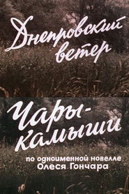 Днепровский ветер. Чары-камыши.