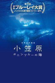 Poster World Natural Heritage Ogasawara - The Sea of Bonin 2018