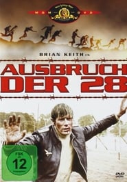 Poster Ausbruch der 28