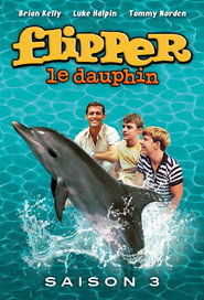 Flipper Season 3 4