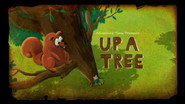 Up a Tree