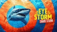 In the Eye of the Storm: Shark Storm