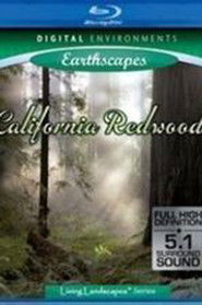Living Landscapes California Redwood