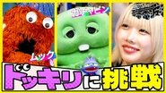 Together with Gachapin, We Will Play a Prank on Mukku
