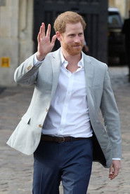 Harry: The Troubled Prince (2020)