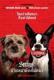 ชีวิตหมาต้องไม่หมา (2023)