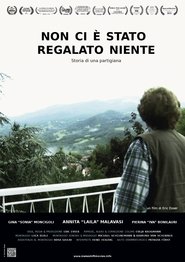 Non ci è stato regalato niente) Non ci è stato regalato niente (2014)