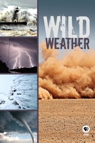 Wild Weather постер