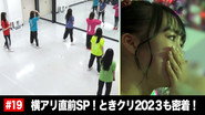 Afsnit 19