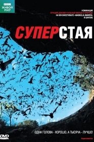 Суперстая