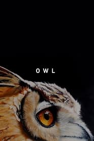 Poster Owl