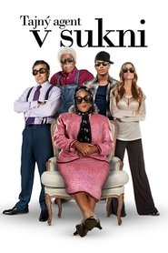 Tajný agent v sukni (2012)