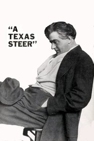 A Texas Steer