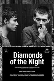 Diamonds of the Night постер