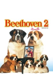 Beethoven 2