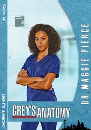 Grey’s Anatomy Saison 14 Episode 24 VOSTFR
