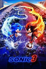 Ježko SONIC 3 (2024)