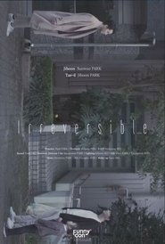 Poster Irreversible 2016