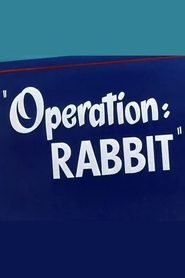 Operation: Rabbit постер