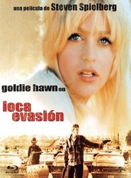 Loca evasión poster