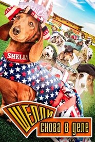 Wiener⋆Dog⋆Internationals⋆2015⋆Film⋆Kostenlos⋆Anschauen