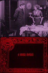 A House Divided 1913