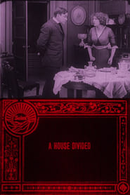 A House Divided (1913)