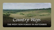The West New Forest in September