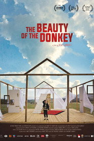 The Beauty of the Donkey