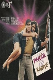 Phool Aur Kaante 1991 吹き替え 動画 フル