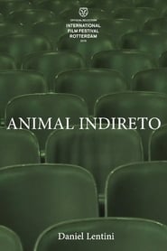 Animal Indireto постер