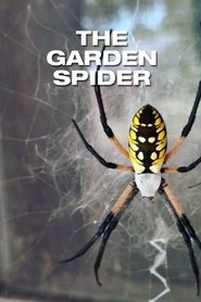 Poster The Garden Spider 1952