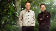 I'm a Celebrity...Get Me Out of Here! en streaming