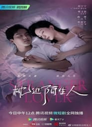 枕边陌生人 poster
