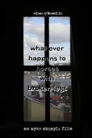 What Ever Happens to Horses with Broken Legs